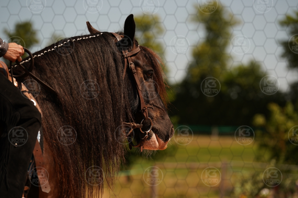 s_A9_03703.jpg
